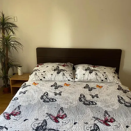 Rosnicka Liesek 招待所 3*